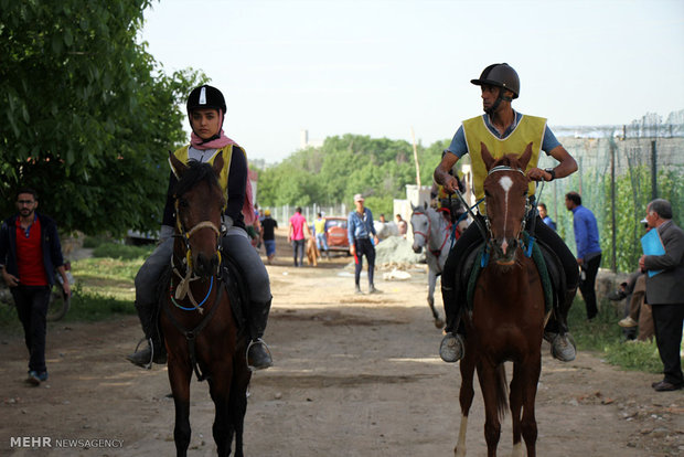 جشنواره بازیهای بومی محلی با اسب در سنندج برگزار می شود