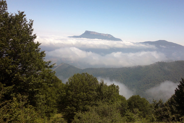 ثبت جهانی جنگل ابر شاهرود به‌مثابه یک مقصد گردشگری