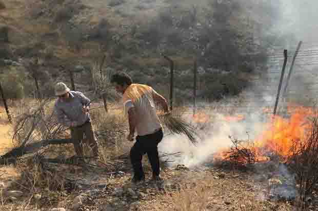 پرونده عاملان آتش‌سوزی در مزارع و مراتع گرمی در دست مقامات قضایی