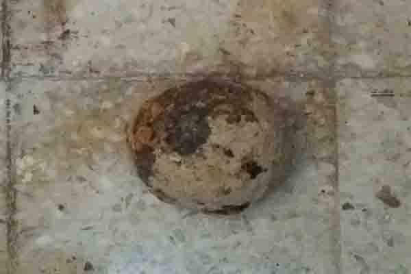 گلوله توپ جنگی ۱۰۰ ساله در کاخ چهل‌ستون اصفهان کشف شد