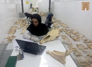 فلات ایران یکی از مراکز اصلی اهلی‌سازی «بُز»