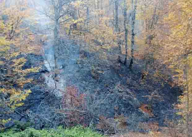 مهار آتش‌سوزی پارک ملی تندوره