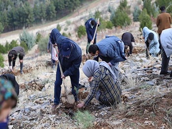 کاشت درخت به یاد درگذشتگان بانک مسکن در اثر کرونا