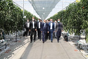 بازدید دبیر شورای عالی مناطق آزاد از ۶ شرکت صنعتی و تولیدی ارس