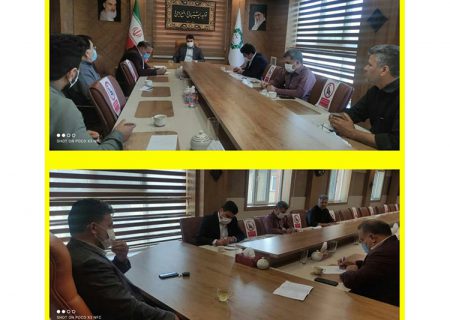 برگزاری جلسه کمیته امحاء تبلیغات غیر مجاز انتخابات شهر باغستان