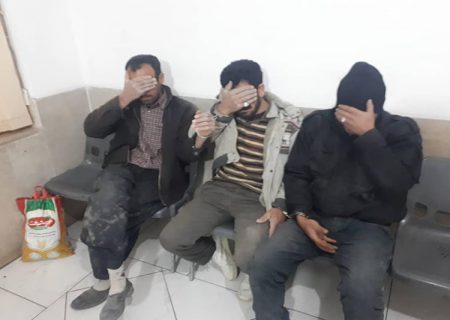 محکوم به حبس سه حفار غیرمجاز در مهدی‌شهر