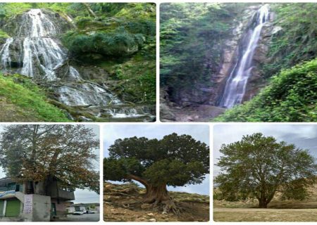 ثبت ملی پنج اثر ارزشمند طبیعی استان گلستان در فهرست آثار طبیعی کشور