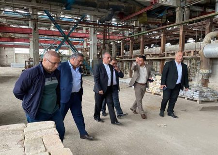 بازدید محسن نریمان از کارخانه فولاد آذرآبادگان ارس در ارمنستان