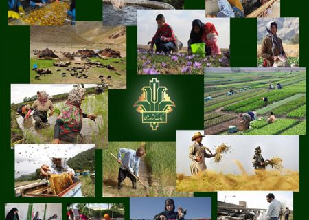 حمایت ۱۶ هزار میلیاردی بانک کشاورزی از اشتغالزایی مددجویان کمیته امداد و بهزیستی