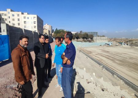 بازدید مستمر شهردار و شورای اسلامی صالحیه از پروژه های قابل افتتاح دهه فجر
